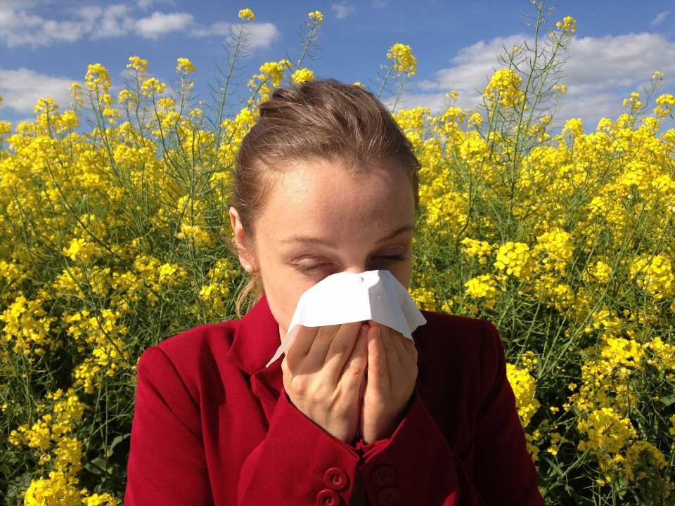 Sneezing, coughing and itchy eyes: How to manage your allergies in spring