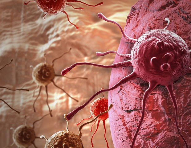 Study finds a promising new target for immunity-boosting cancer treatments