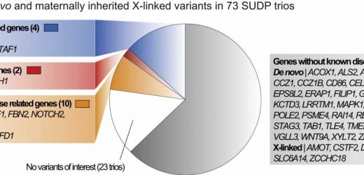 Sudden, unexplained child deaths often have a genetic cause