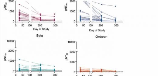The secret’s in the spikes:  Exploring omicron’s ability to escape antibodies