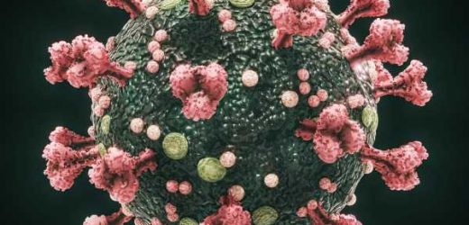 Uptake of SARS-CoV-2 spike protein in human cerebrovascular cells