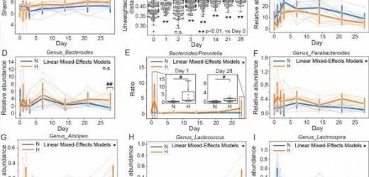Alterations in gut microbiota and metabolites associated with altitude-induced cardiac hypertrophy in rats
