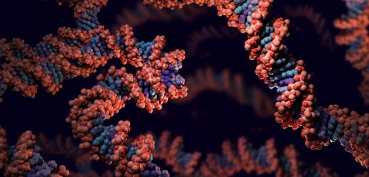 An immune cell ‘fingerprint’ reveals path for better treatment of autoimmune diseases
