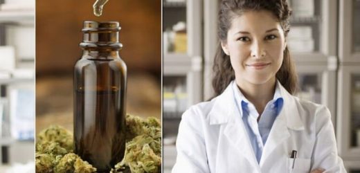 Bellevue Pharmacy: The pharmacy at the heart of the cannabis revolution in the UK