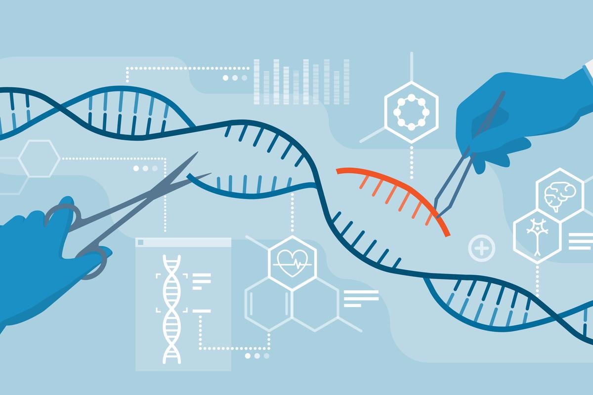 CRISPR/Cas9 deletions induce adverse on-target genomic effects