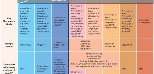 Challenges, unmet needs and future opportunities in COVID-19 therapeutics