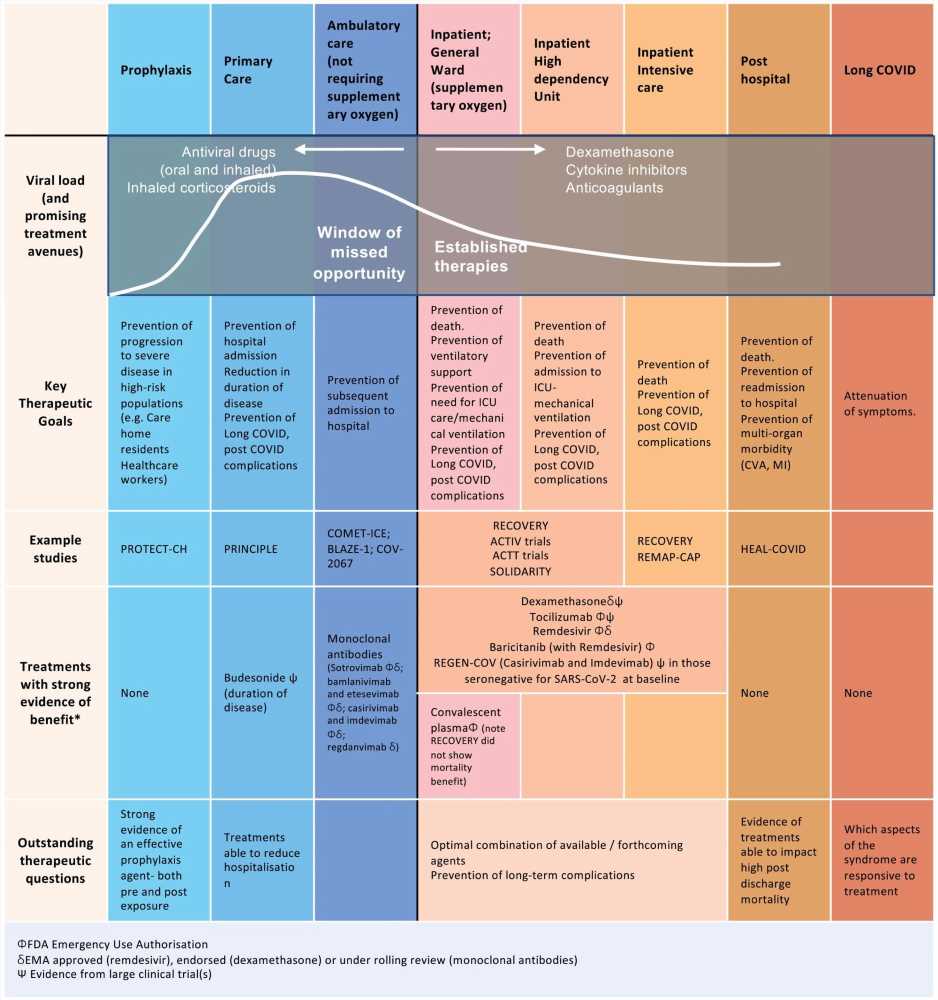 Challenges, unmet needs and future opportunities in COVID-19 therapeutics