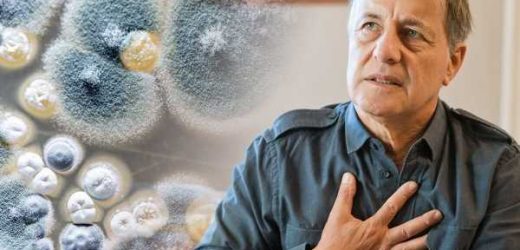 Drug resistant mould found in the UK – immunocompromised could be at risk