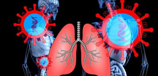 Fighting viruses is as easy as breathing