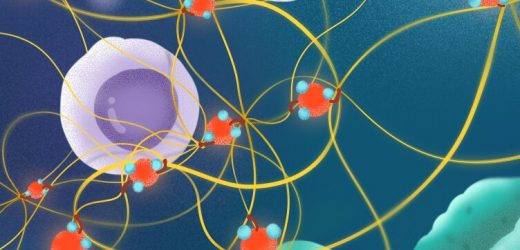 How air pollution alters lung tissue, increasing cancer susceptibility
