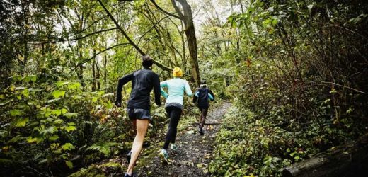 How to get into trail running when you live in the city