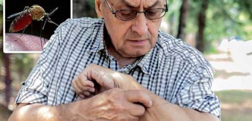 Malaria: A breakthrough vaccine for the fatal disease – final trials