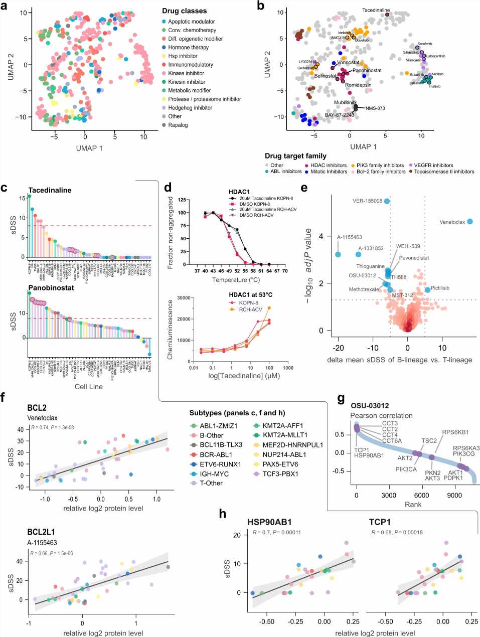 New tool explores biological differences and new targeted therapies in childhood acute lymphoblastic leukemia