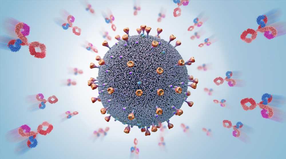 Prior COVID vaccination induces a more robust antibody response to Omicron