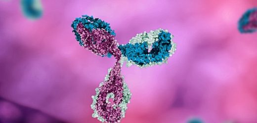 Research illuminates why immune disorders affect only one of two identical twins