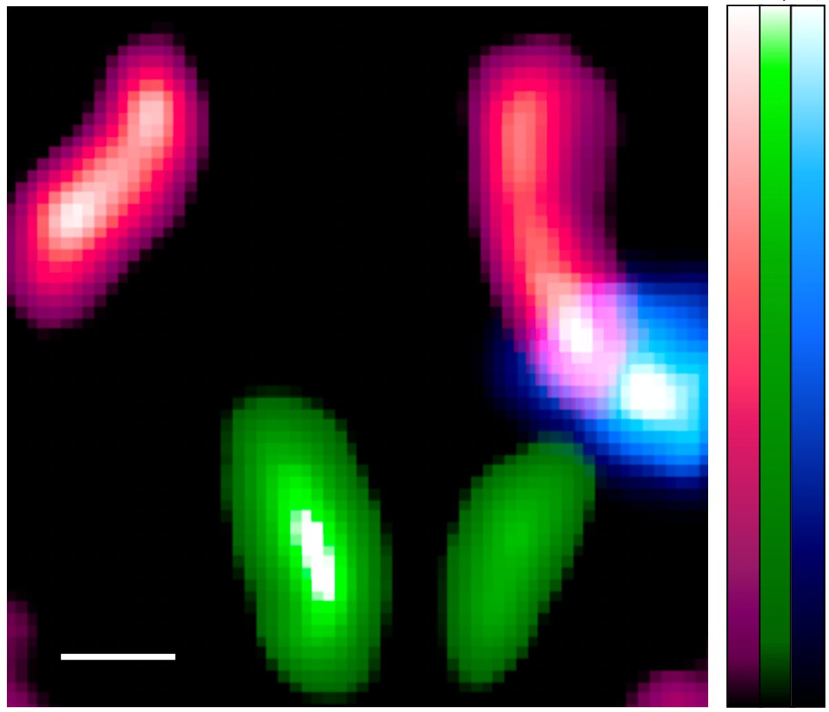 Researchers adapt technology made for astronomical observations to biomedical imaging