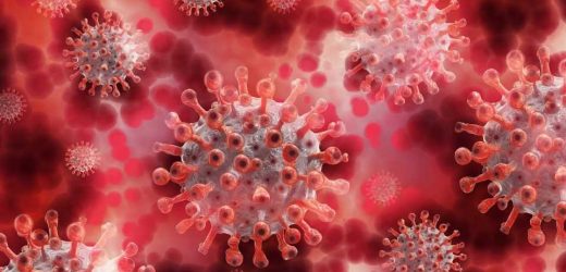 S.Africa Covid cases at highest level in months