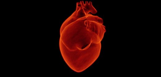 Sodium thiosulfate does not reduce heart damage after a heart attack