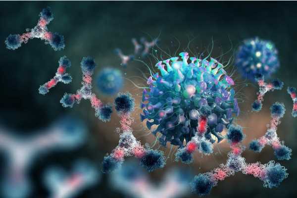 The mucosal antibody response to SARS-CoV-2