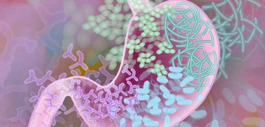 Viruses in the gut may warn of a deadly disease in preterm infants