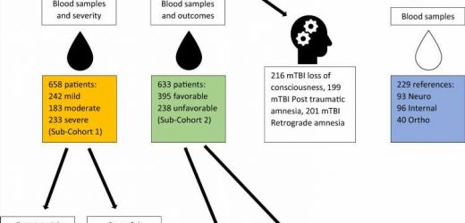 A simple blood sample indicates how serious a head trauma is