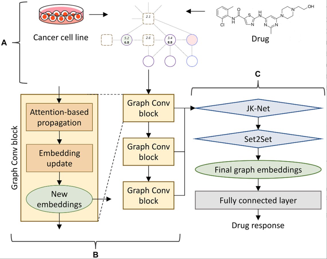 Anti-cancer drug profiling with CancerOmicsNet