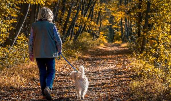 Brisk walking may slow biological ageing process, study finds