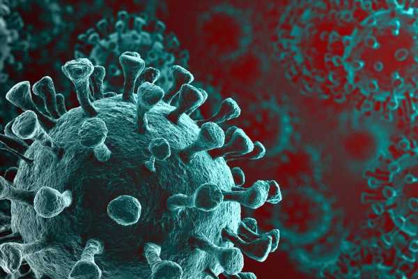 Important methodology for targeting conserved epitopes of SARS-CoV-2 and an immune-focused approach in pan-sarbeco and universal CoV vaccine design