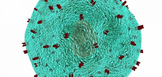 Killer T vs. memory: DNA isn’t destiny for T cells
