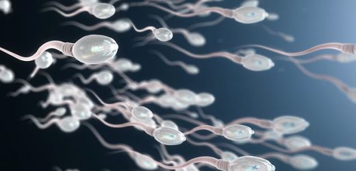 Losing weight can help men DOUBLE their sperm count, study claims