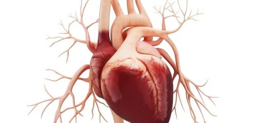 Low GI diet could help heart disease patients control their body weight and waistline