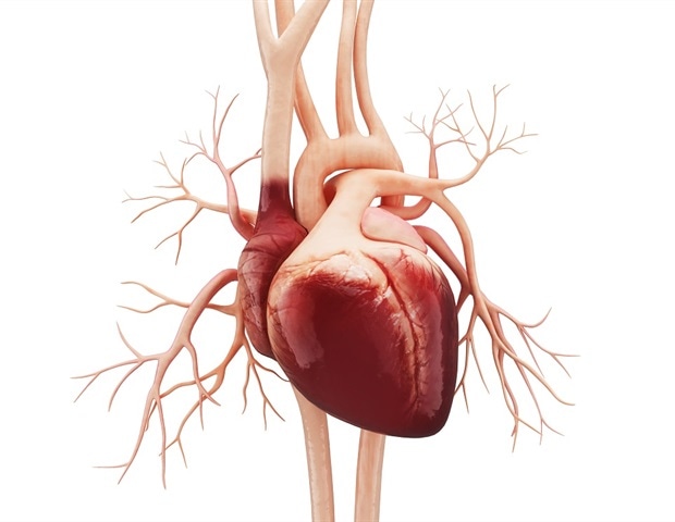 Low GI diet could help heart disease patients control their body weight and waistline