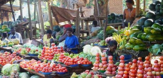 Malnutrition in Africa best addressed by improving access to markets, not variety in the fields