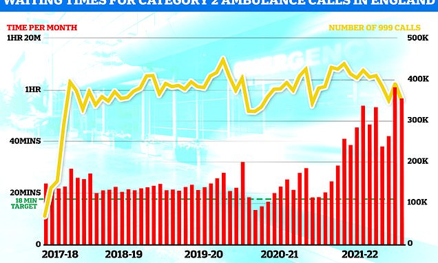 NHS ambulance crisis saw one patient &apos;wait 24 HOURS outside busy A&E&apos;