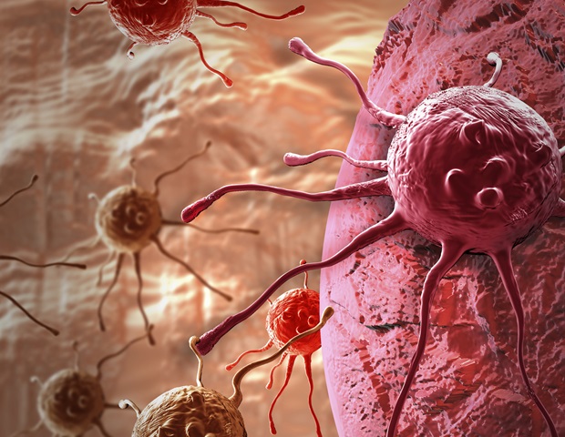 New compounds for cancer immunotherapy via STING-mediated immune activation