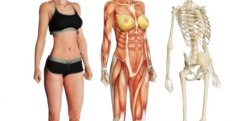 New methods can make spinal cord less excitable and could be used to treat muscle spasms