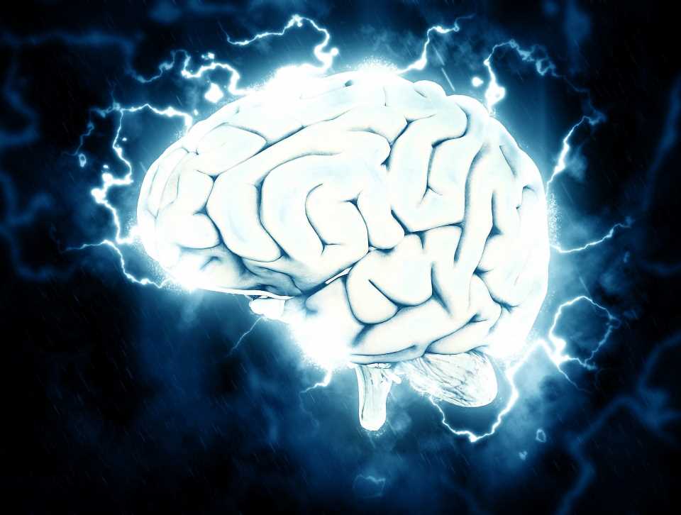 New study reveals how the brain says ‘oops!’