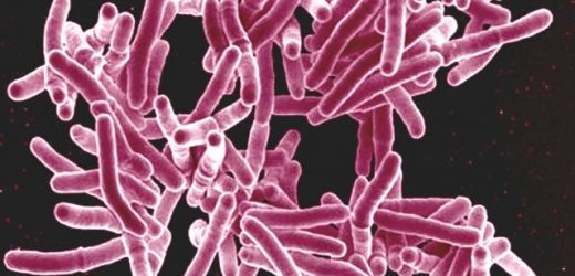 New study reveals hundreds of new drug targets to combat tuberculosis