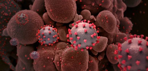 Research scientists publish first head-to-head comparison of four COVID-19 vaccines
