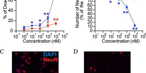Scientists detect common fungicide in pregnant women and children
