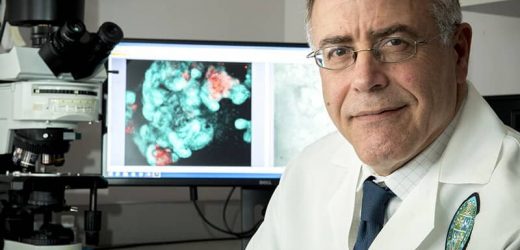 Study examines why kidneys can’t regenerate after birth