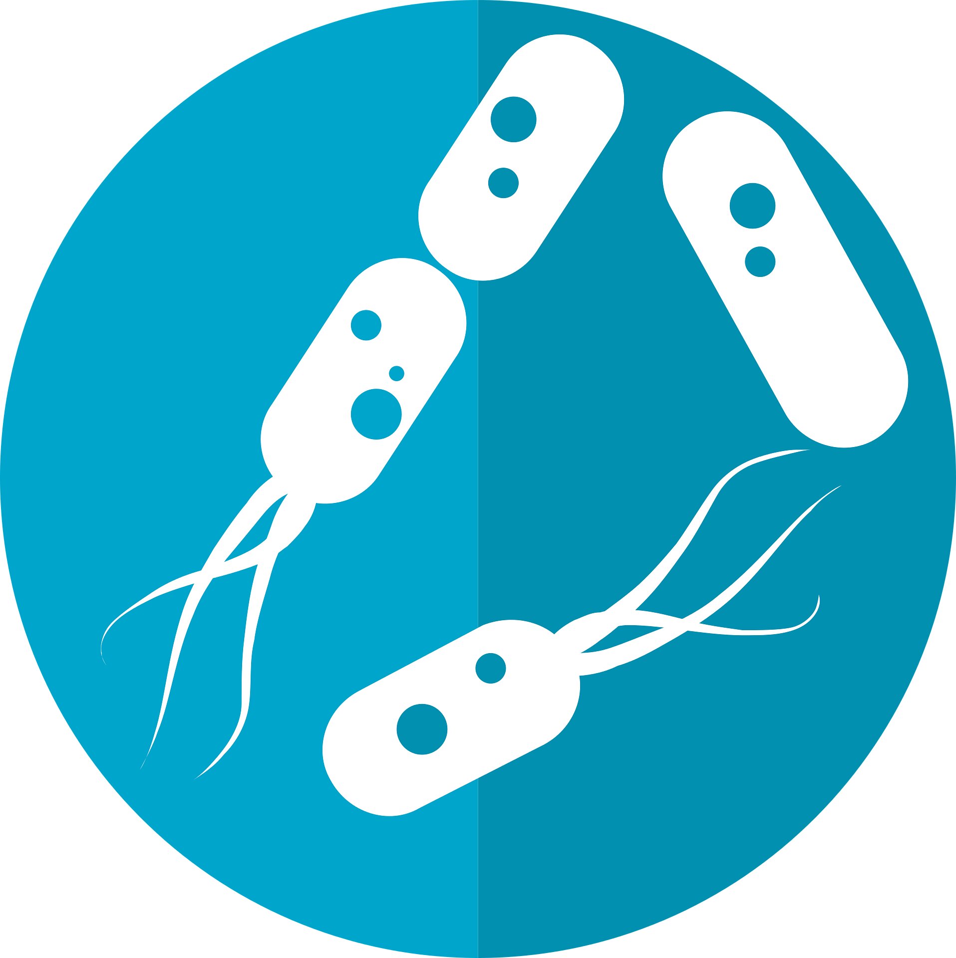 Study finds probiotic supplement helps to form a mature microbiome in extremely preterm infants