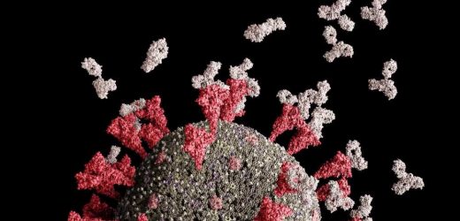 Super-antibody UT28K shows broad-spectrum activity against SARS-CoV-2 variants