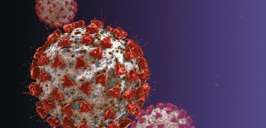 The effectiveness of tixagevimab/cilgavimab for prevention of SARS-CoV-2 infection and severe disease among immunocompromised patients
