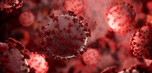The potential impact of oral vaccination against COVID-19 on transmission to naïve individuals studied in a hamster infection model