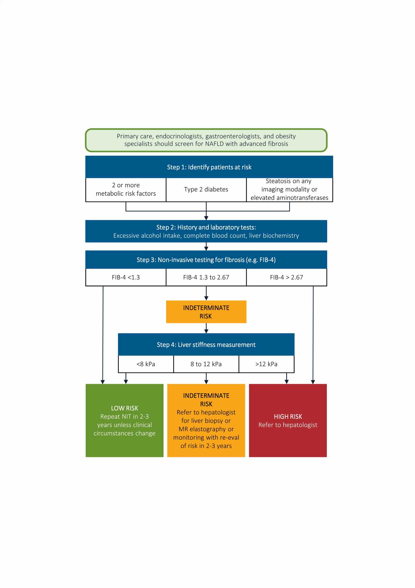 Diagnosing liver diseases: New review presents non-invasive methods for better accuracy