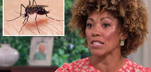 Dr Zoe says wearing a certain colour can draw mosquitoes in – ‘That’s what attracts them’