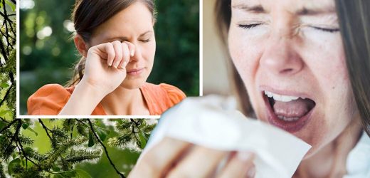 Hay fever relief hacks you should know as pollen ‘very high’ across the UK