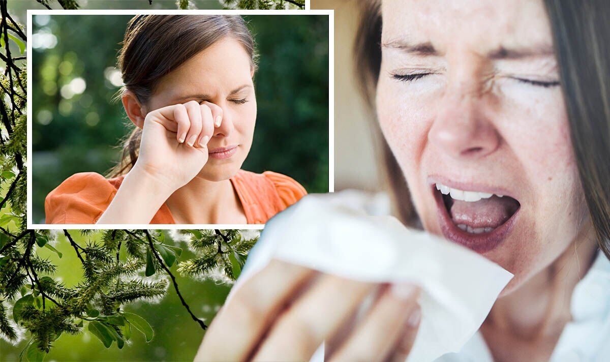 Hay fever relief hacks you should know as pollen ‘very high’ across the UK