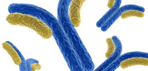 NIH sponsors the trial of monoclonal antibody to prevent asthma exacerbations in urban youth
